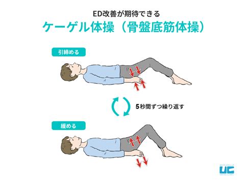 筋 トレ 勃起 力|【医師監修】【医師直伝】ED改善に有効な筋トレ6。